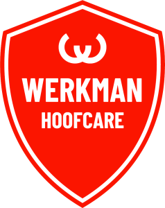 Werkman