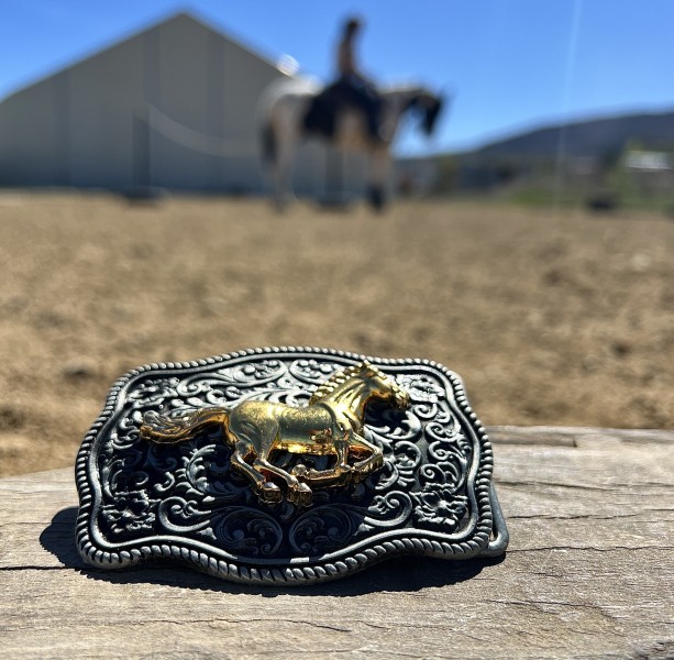 УЕСТЪРН КАТАРАМИ И КОЛАНИ