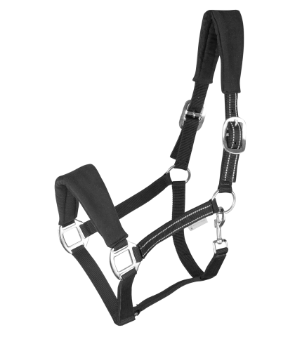 Оглавник Алкантара / 5047501