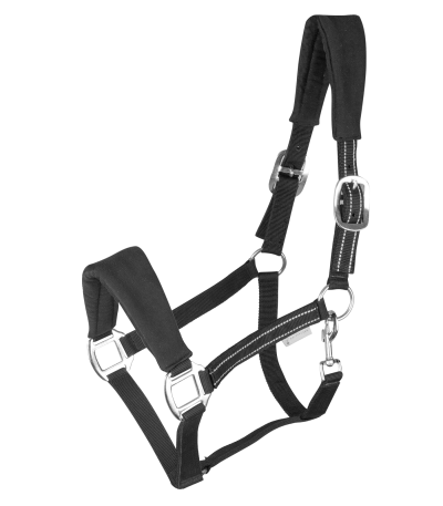 Оглавник Алкантара / 5047501