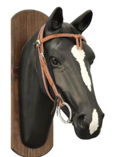 Уестърн юзда с поводи / Futurity