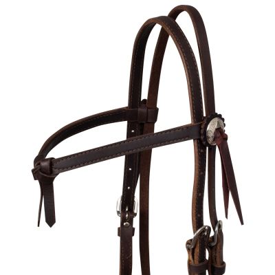 Уестърн юзда с поводи / Futurity