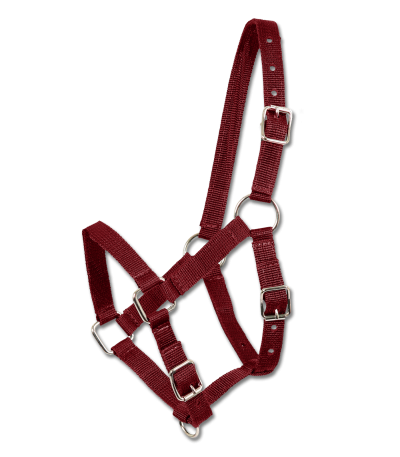 Оглавник за кончета / 5044