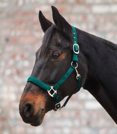 Подплатен оглавник Сатен / Satin 