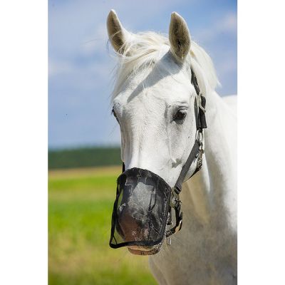 Протектор за нос срещу насекоми / 63151001