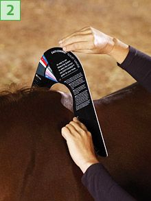 Шаблон мярка за седла