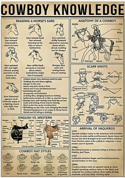 Метален уестърн постер / Cowboy knowledge